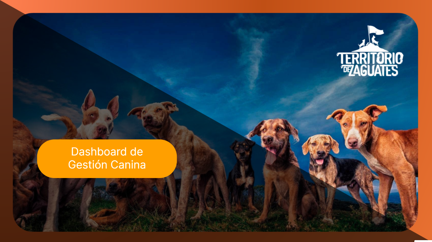 Dashboard de Gestión Canina